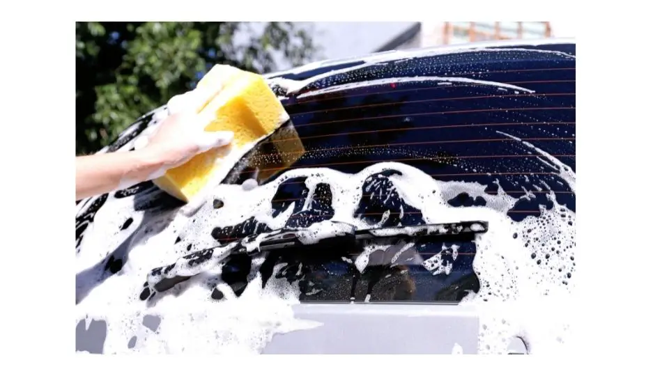 using windex on windows